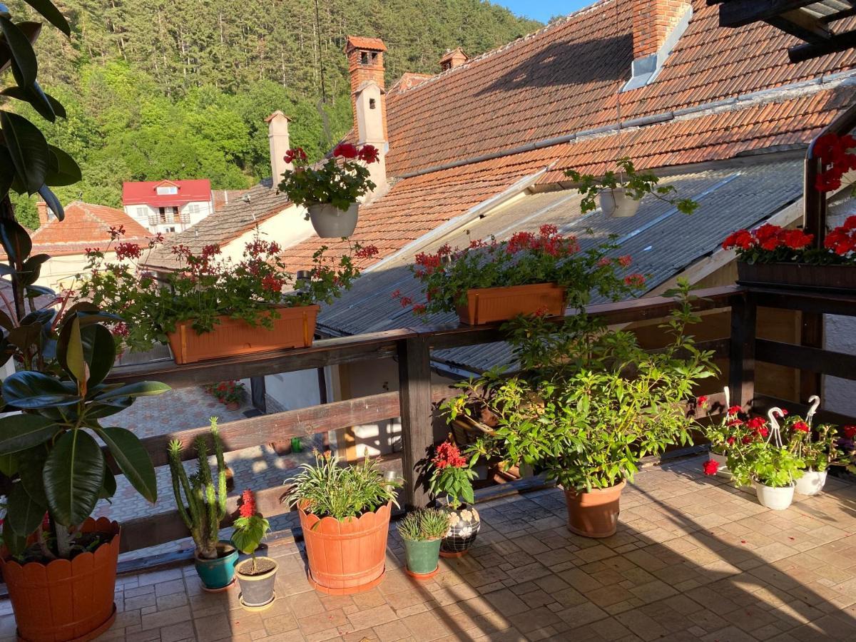 Victoria Gasthaus Rasnov - Charming Vacation House In Rasnov Bagian luar foto