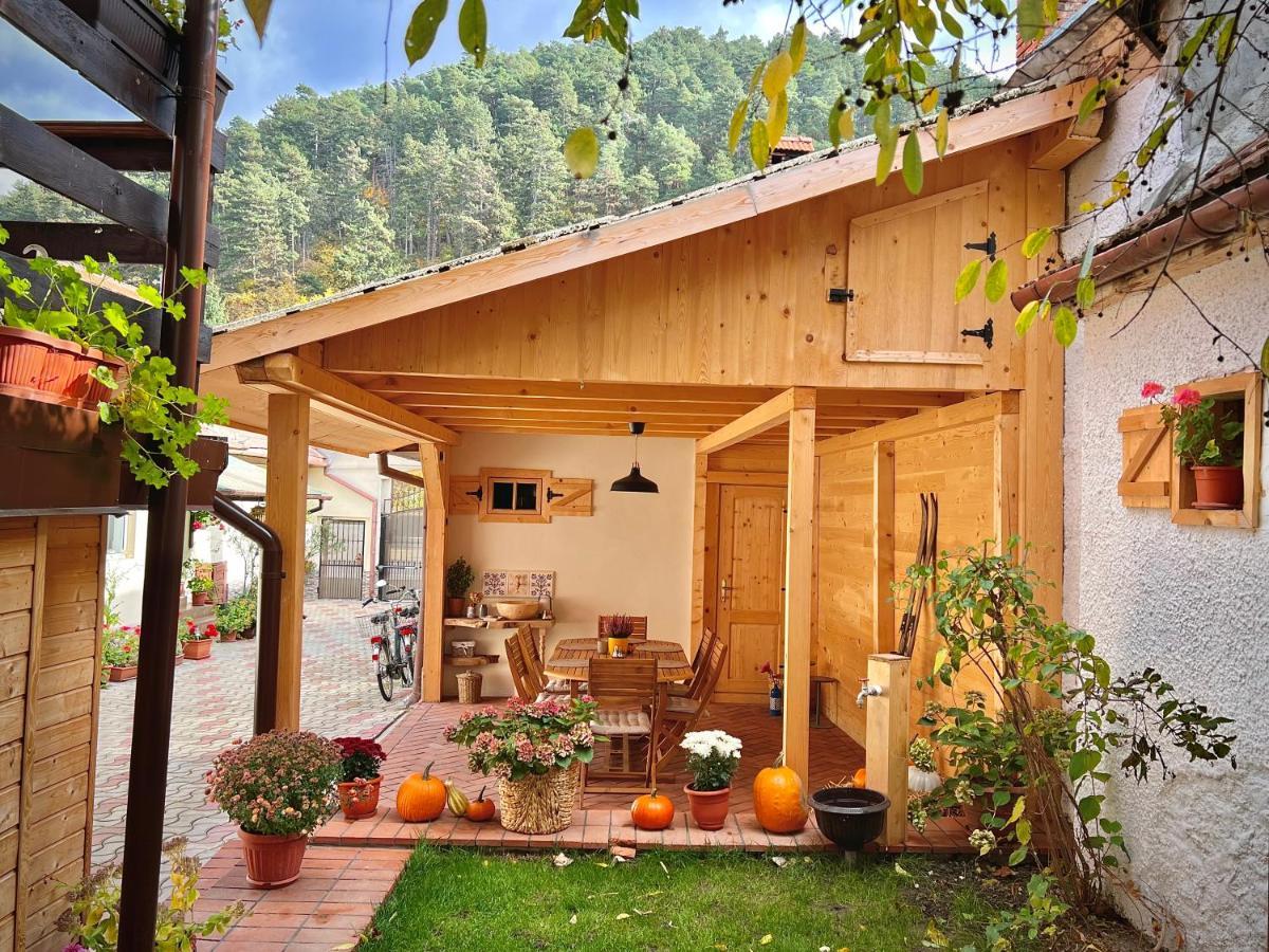 Victoria Gasthaus Rasnov - Charming Vacation House In Rasnov Bagian luar foto