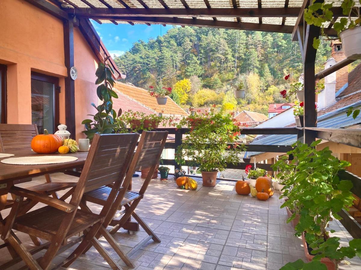 Victoria Gasthaus Rasnov - Charming Vacation House In Rasnov Bagian luar foto